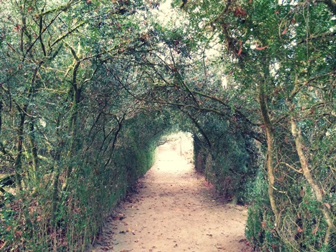 Jardines del Pazo de Oca