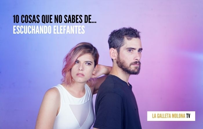 10 cosas que no sabes de... Escuchando Elefantes